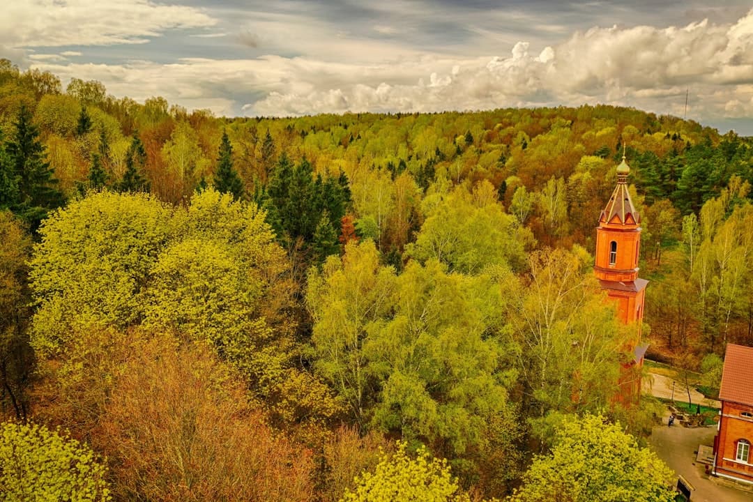 Piękna natura w pobliżu Ostrawy