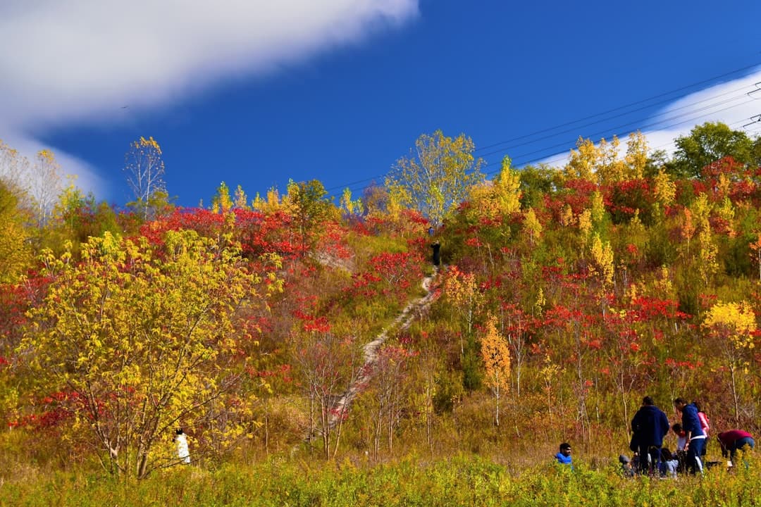 Wędrówka na Ella Rock, piękne widoki