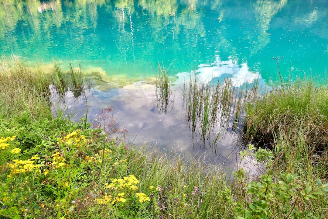 Jeziora w Parku Narodowym Jezior Plitwickich