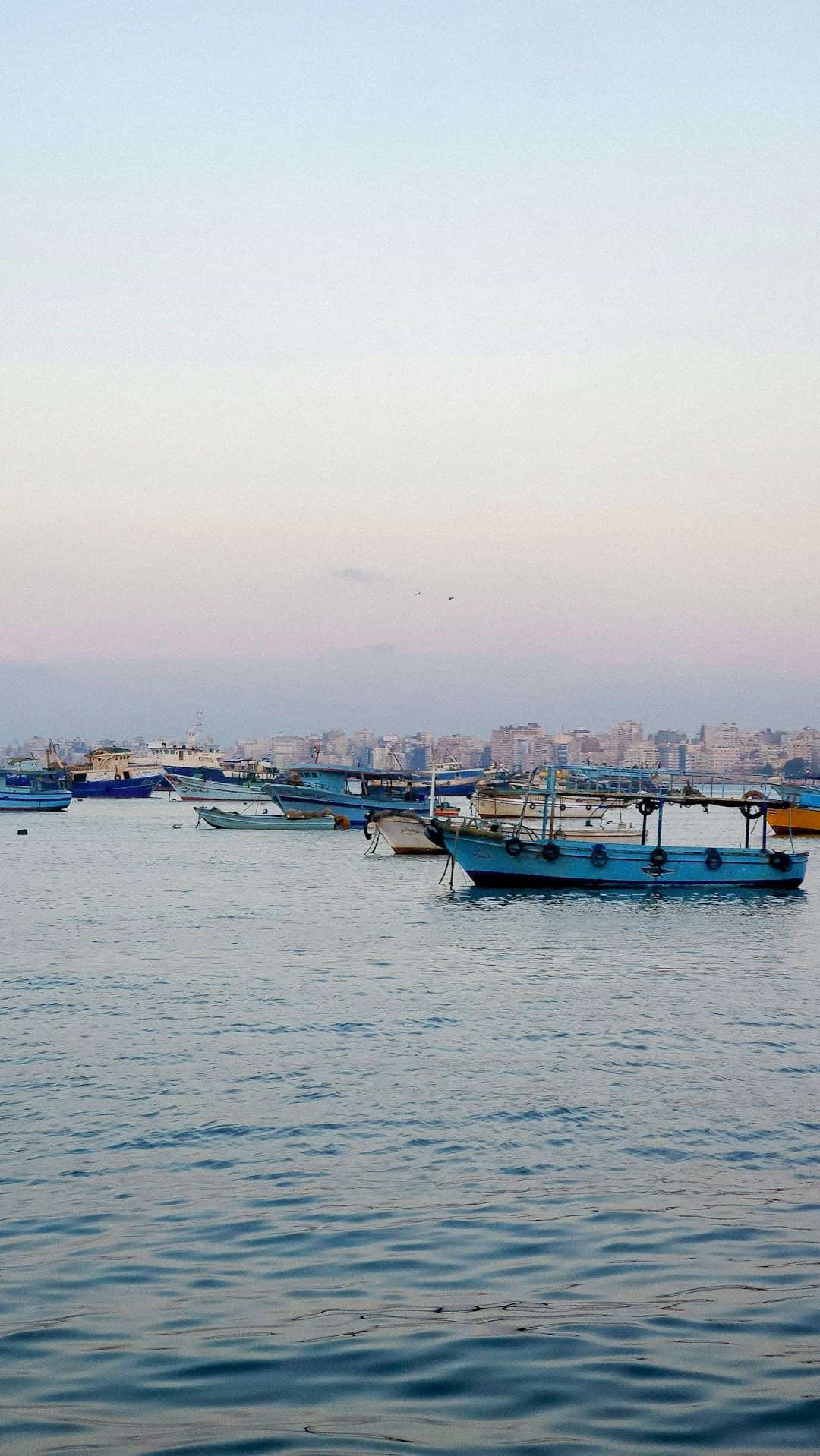Piękny widok na Aleksandrię przy zachodzie słońca