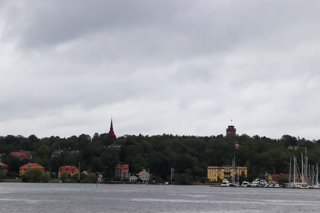 Widok na klify Møns Klint