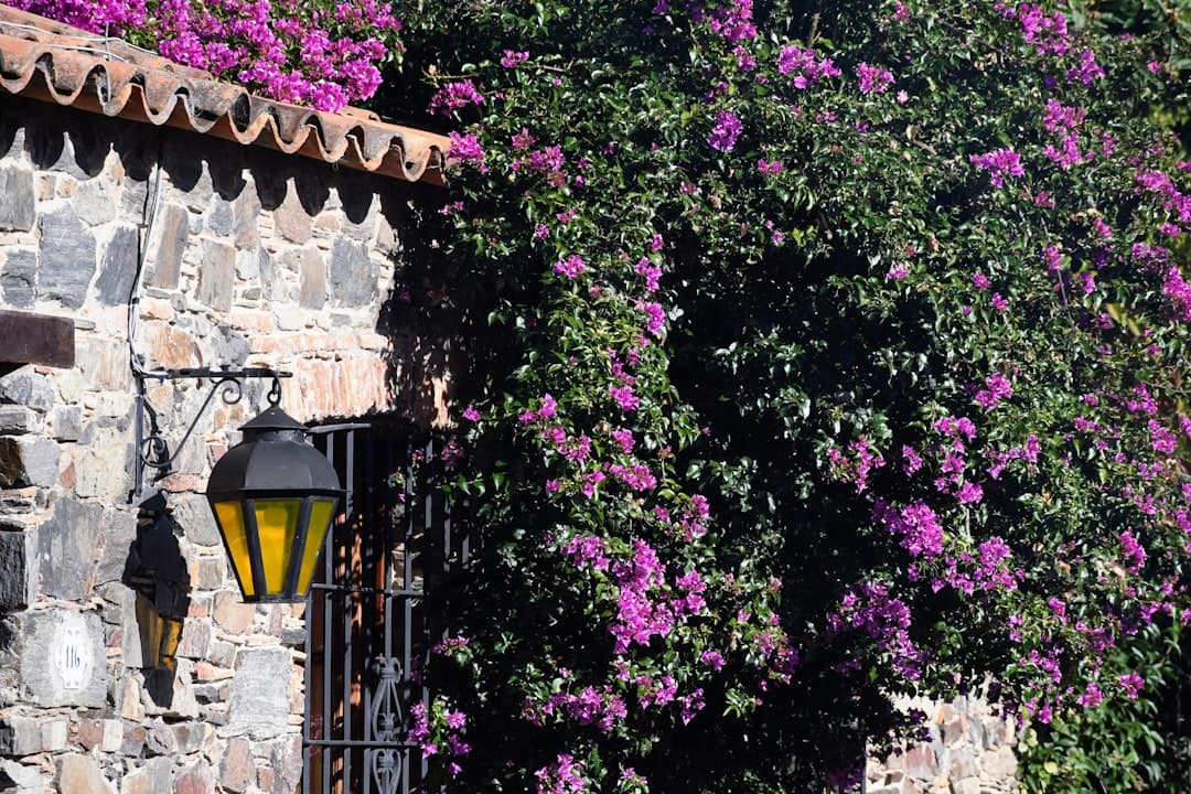 Pakowanie walizki na wakacje