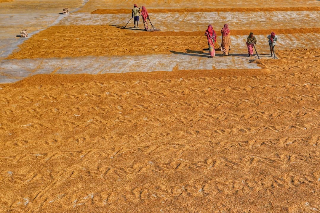 Piękne piaszczyste plaże w Parku Narodowym Manuel Antonio