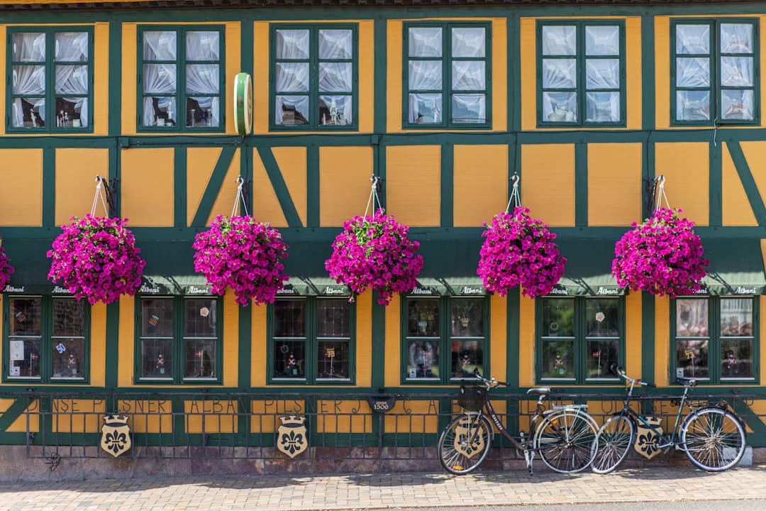 Piękny widok na miasto Odense