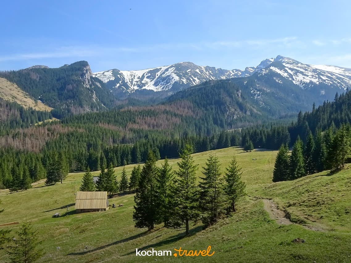 Słoneczny krajobraz górski: zielona dolina, lasy, ośnieżone szczyty, drewniana chata.