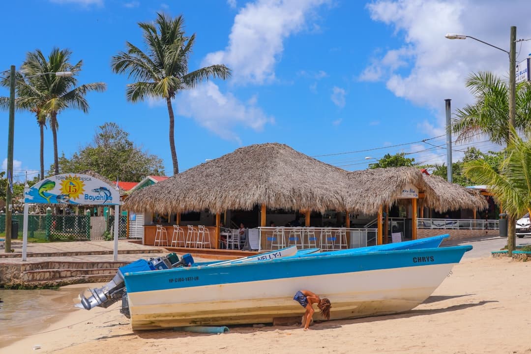 Spokojna plaża w Bayahibe z palmami i turkusową wodą