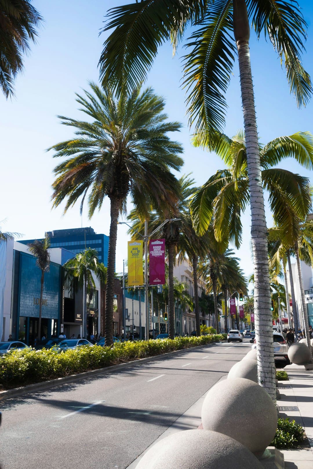 Ulica z palmami i luksusowymi sklepami w słońcu.