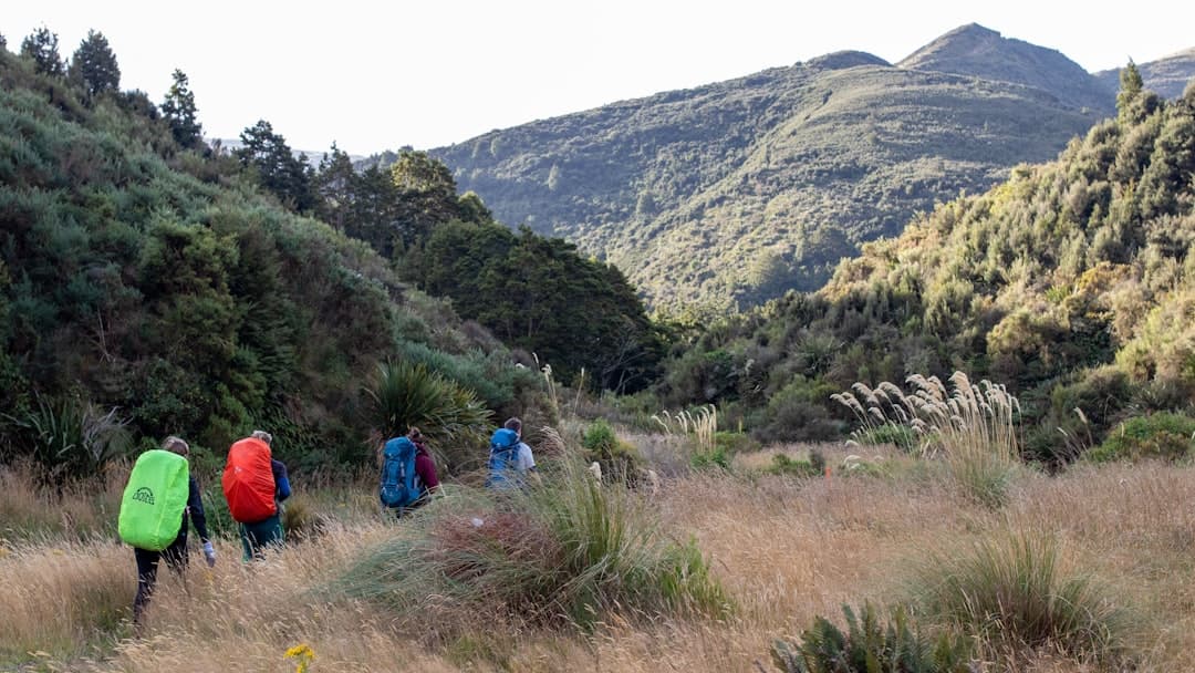 Dzieci wędrujące na szlaku wulkanu Arenal