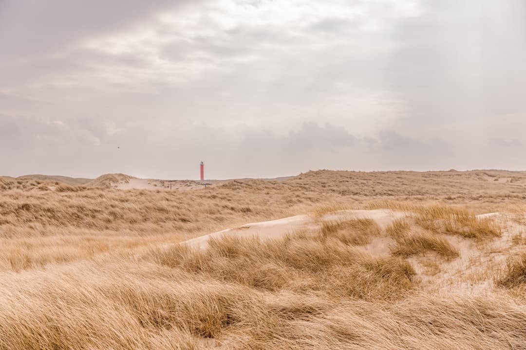 Piękna plaża w Holandii