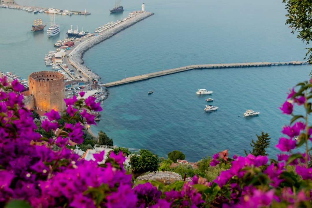 Piękna linia brzegowa Pafos