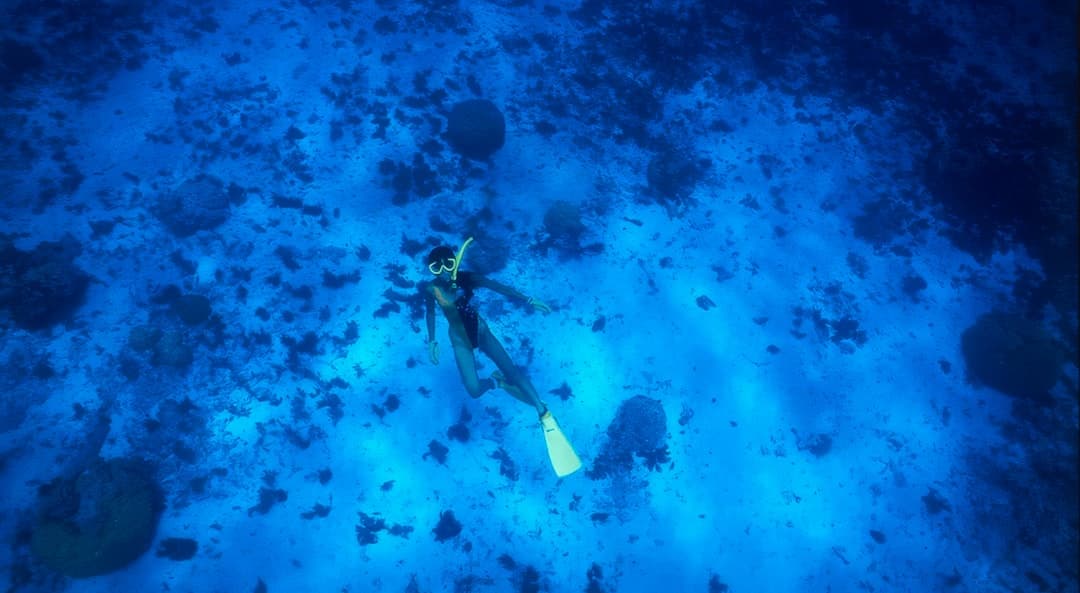 Nurkowanie przy wraku SS President Coolidge