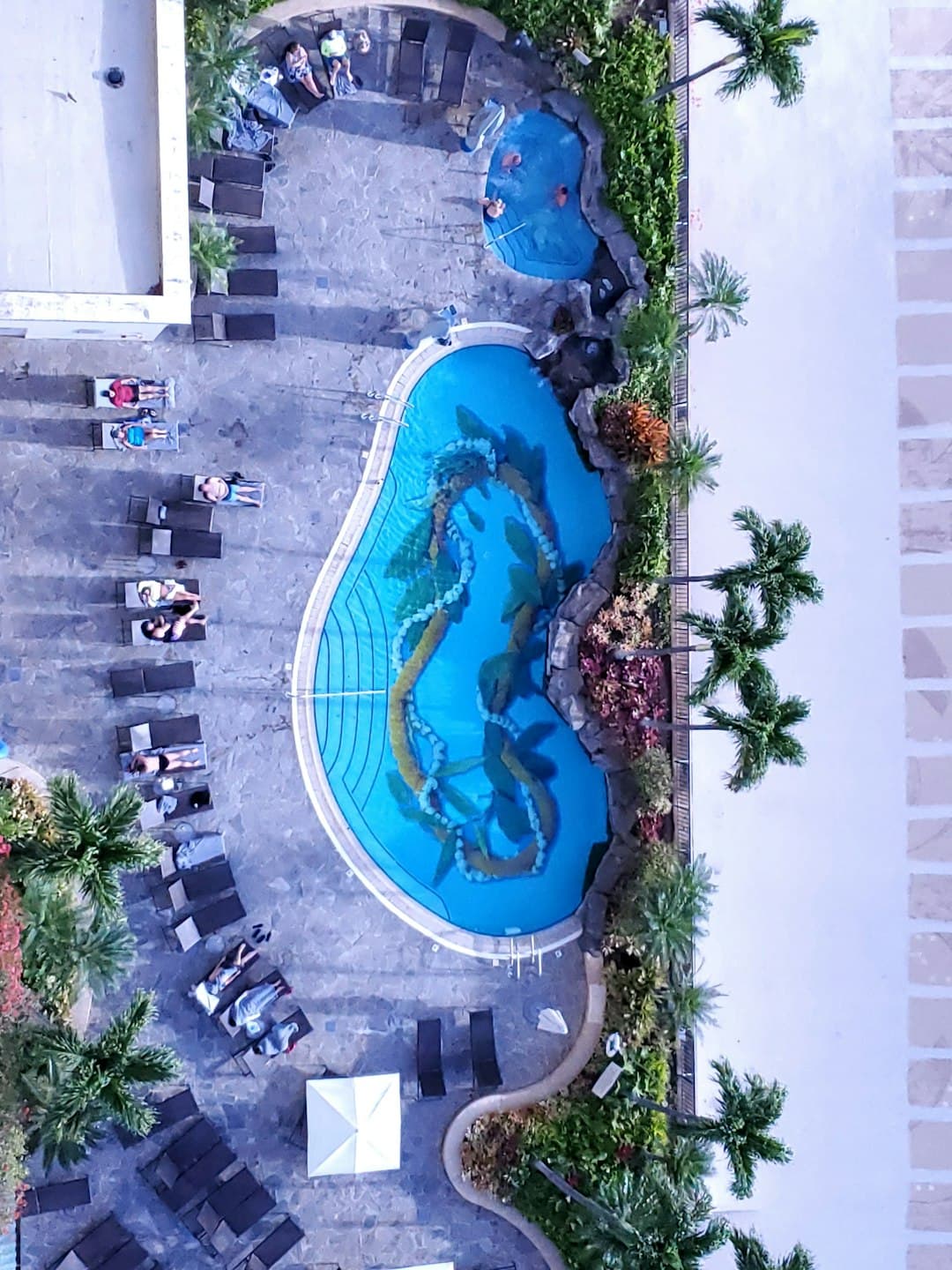 Widok basenu hotelowego z palmami i leżakami.