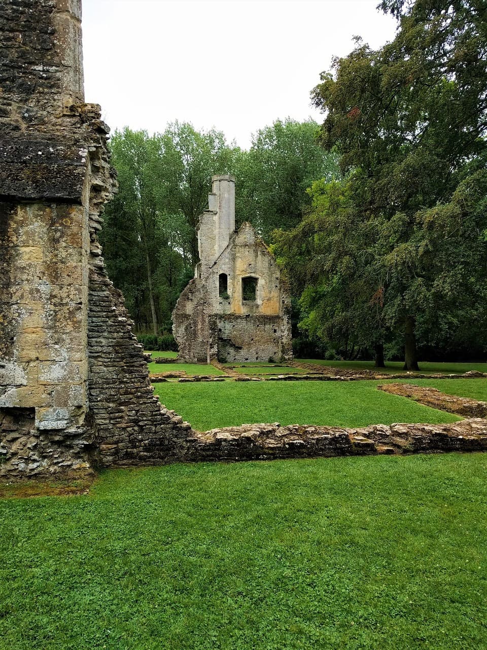 Kamienne ruiny zabytkowego budynku otoczone zieloną trawą i drzewami.