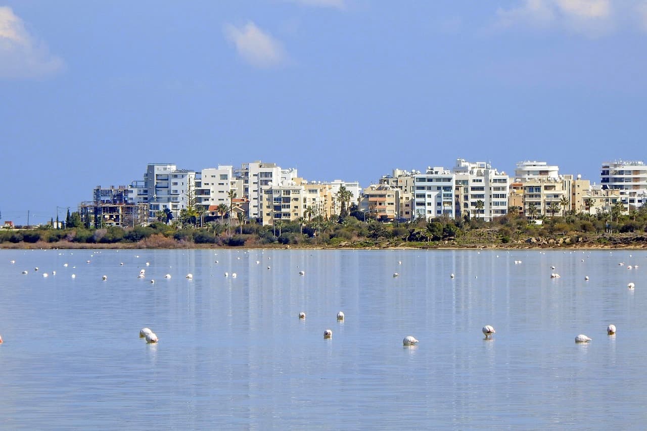Flamingi żerujące w jeziorze, nowoczesne budynki mieszkalne w tle.