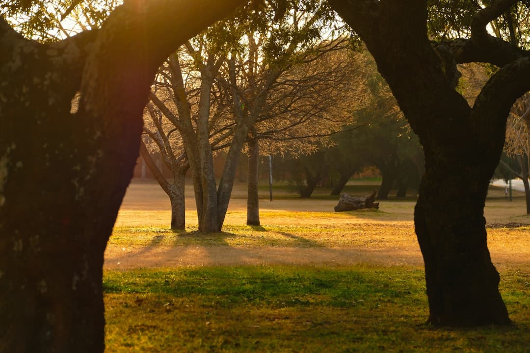 Jazda na rowerze w parku Johannesburg przy zachodzie słońca