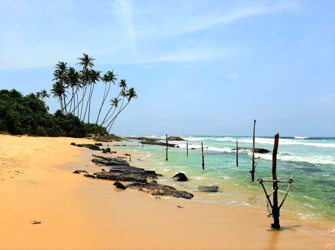 Spokojny widok na plażę Induruwa, Sri Lanka