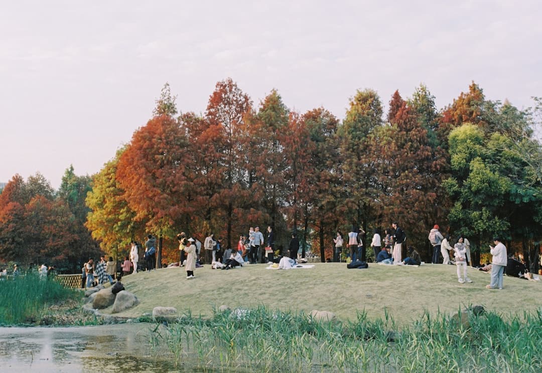 Ludzie odpoczywający w parku nad stawem.