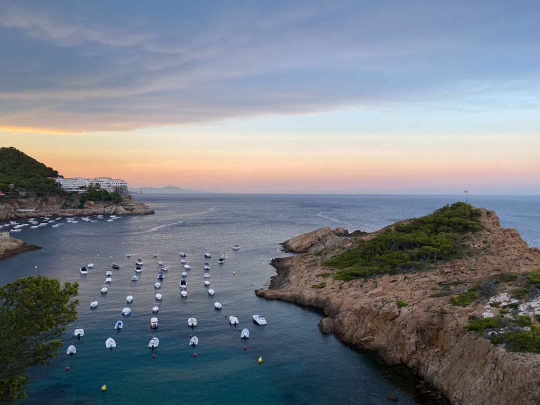 Piękny nadmorski krajobraz z jachtami w Cannes przy zachodzie słońca