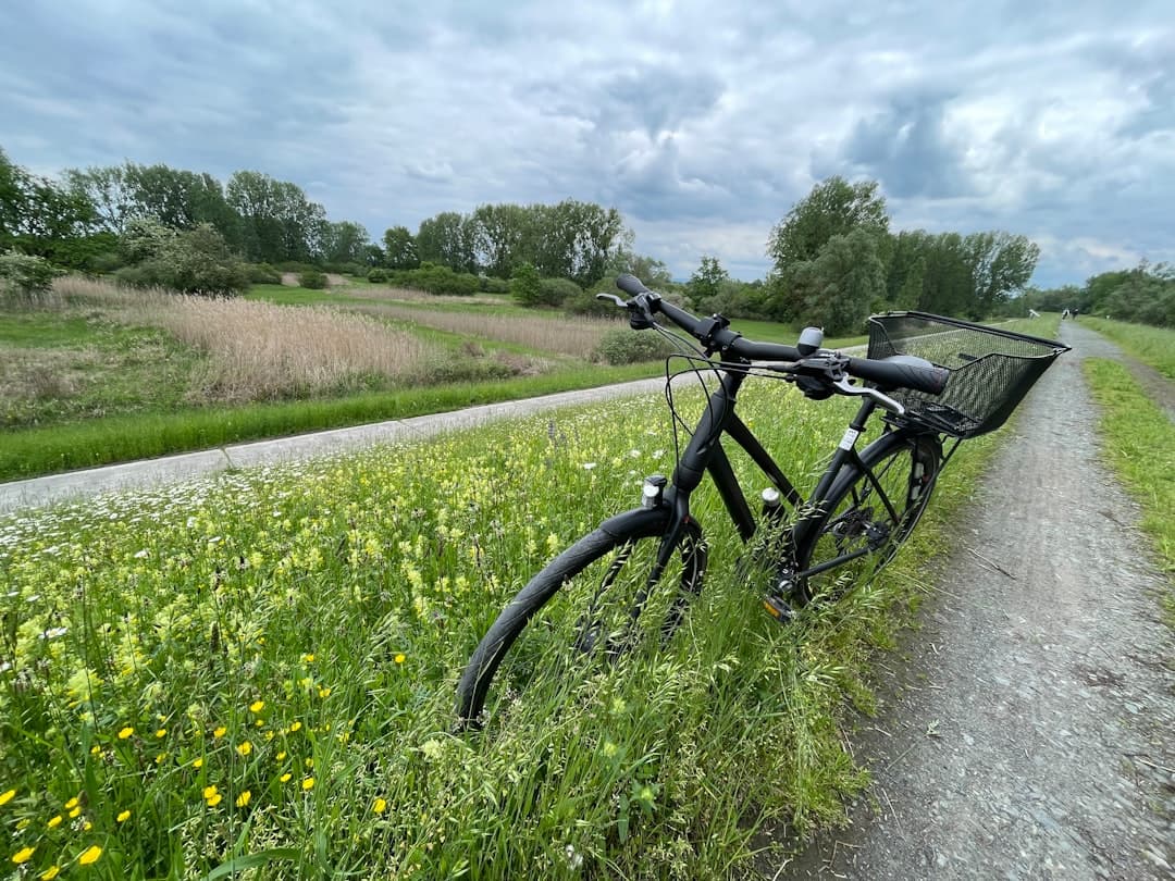 Widok na Brno z okolicznych wzgórz