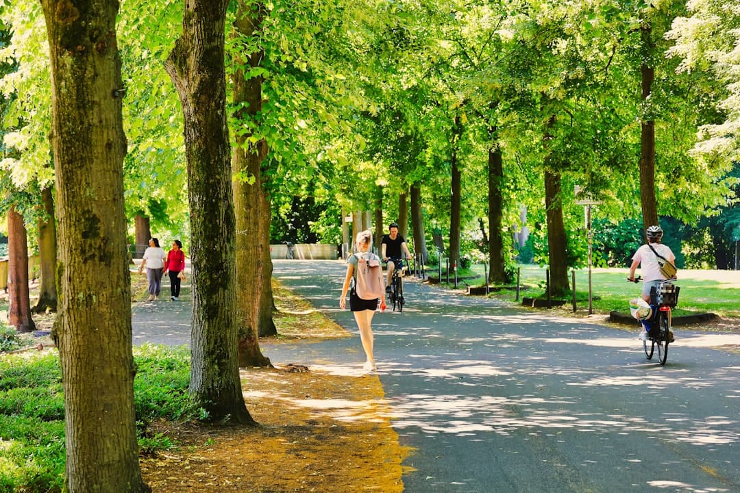 Biegacz w parku w Brnie