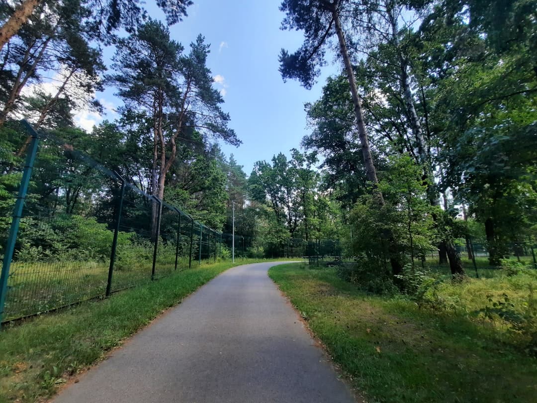 Spokojna ścieżka spacerowa w brneńskim parku