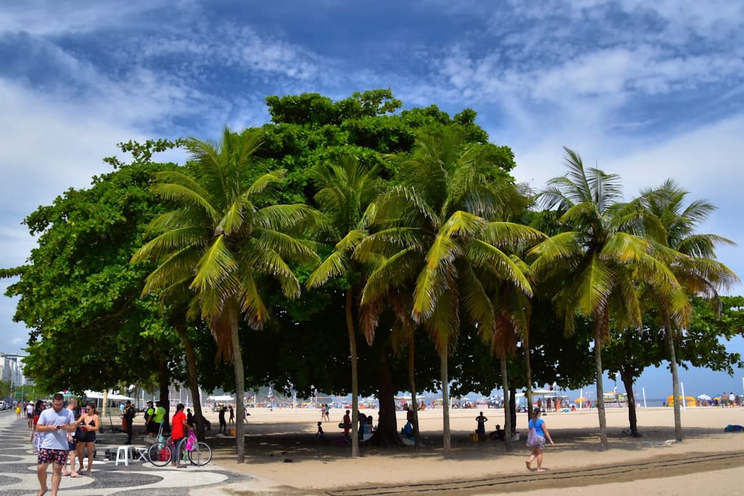 Plaża Vai z palmami