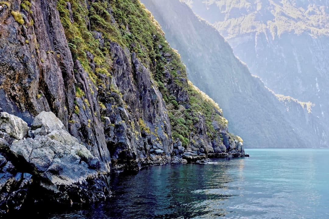 Widok na fiord Milford Sound