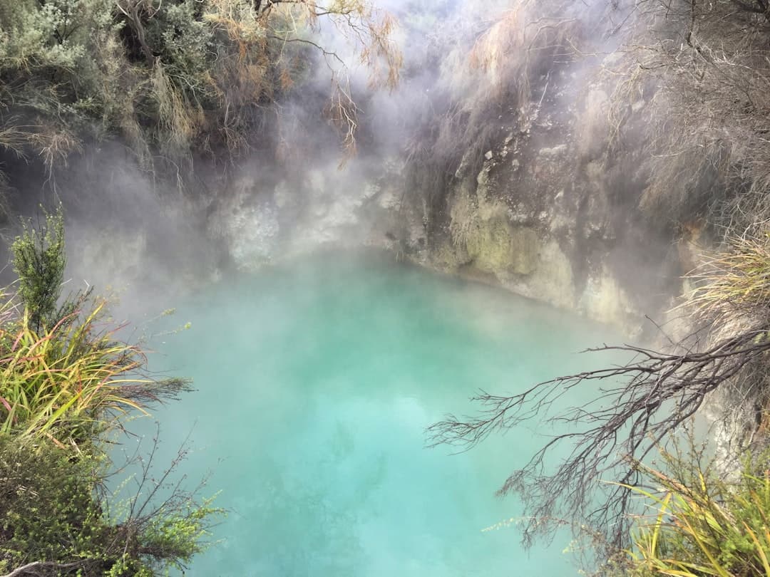 Błękitne źródło geotermalne otoczone roślinnością i parą.
