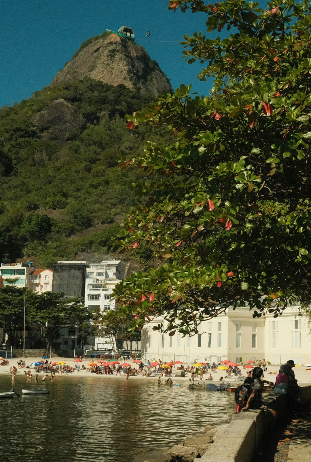 Kurort plażowy w Rio de Janeiro