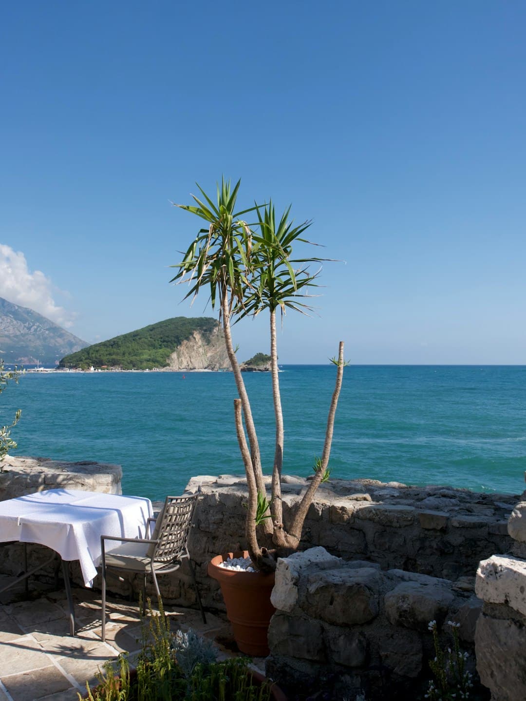 Malowniczy krajobraz Baru z gajami oliwnymi