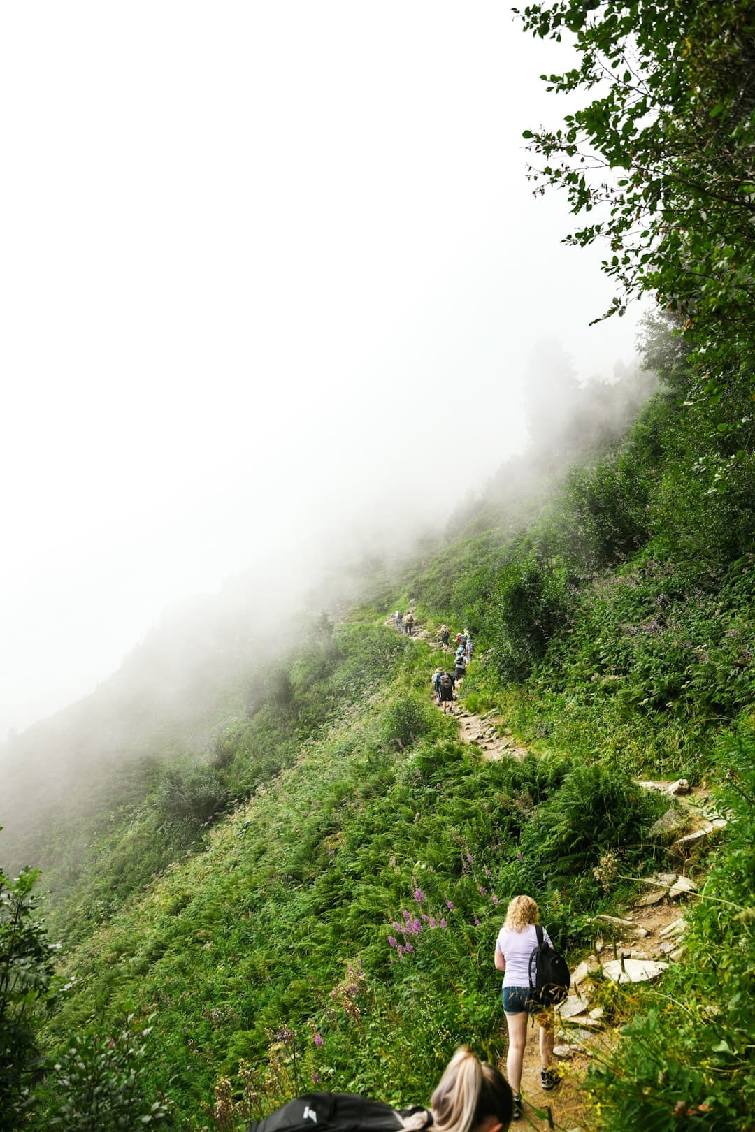 Rodzina wędrująca na Dragon Crest Mountain, piękne widoki