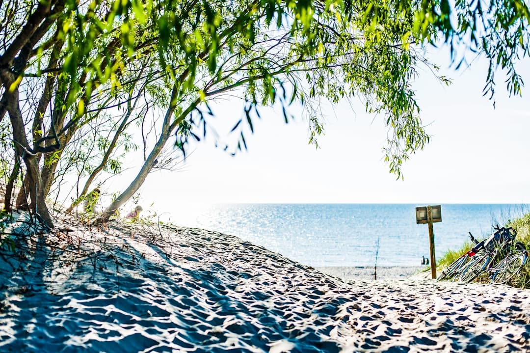 Plaża Šunj na wyspie Lopud