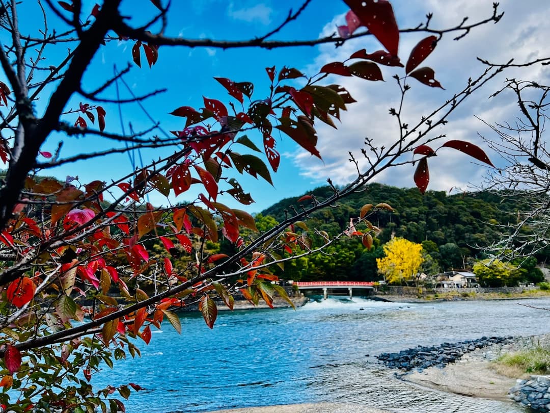 Widok na plaże Riwierzy Albańskiej z rodziną