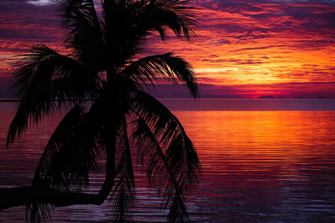 Tropikalny zachód słońca nad oceanem