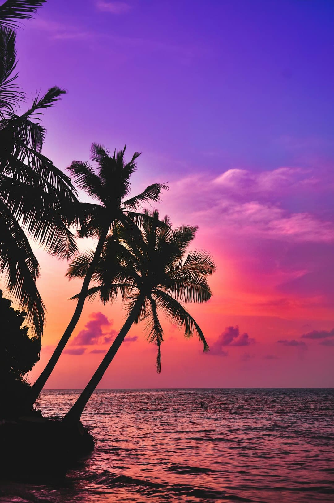 Tropical beach sunset inviting to travel
