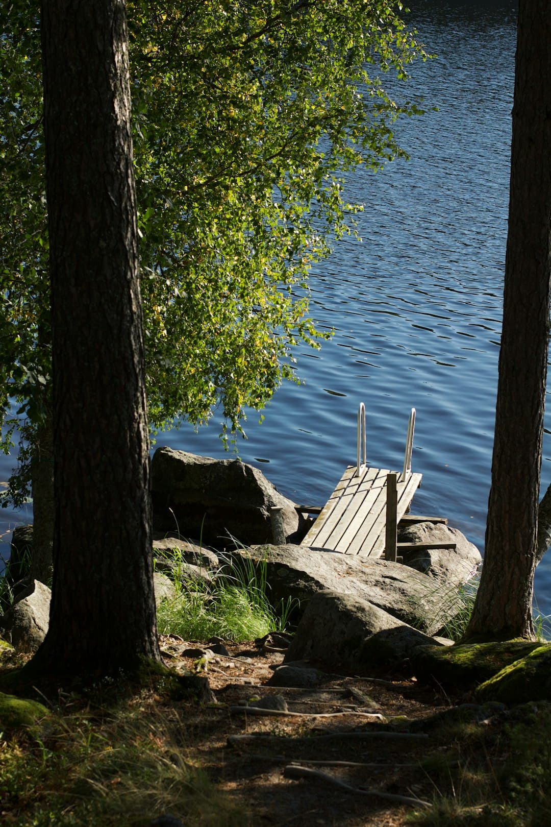 Piknik latem nad jeziorem