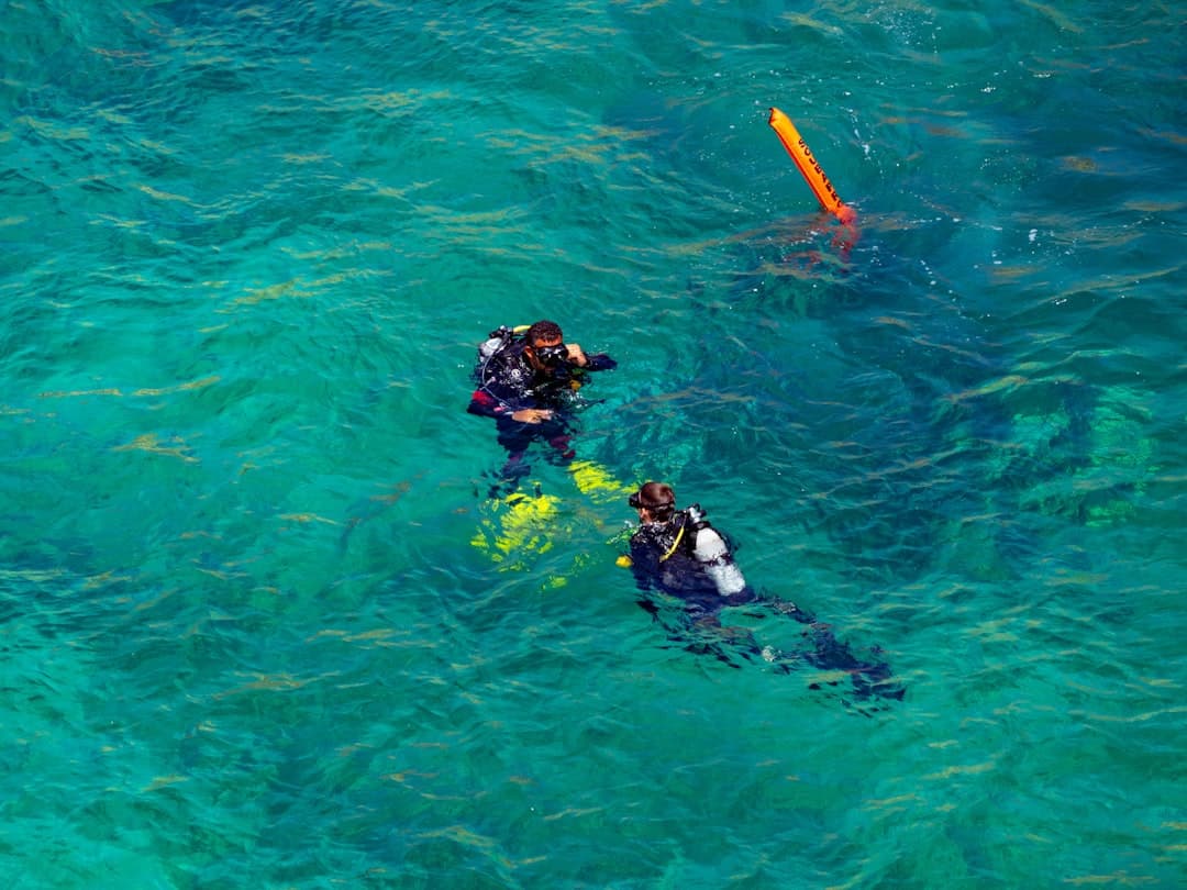 Snorkeling z żółwiami morskimi w Galapagos