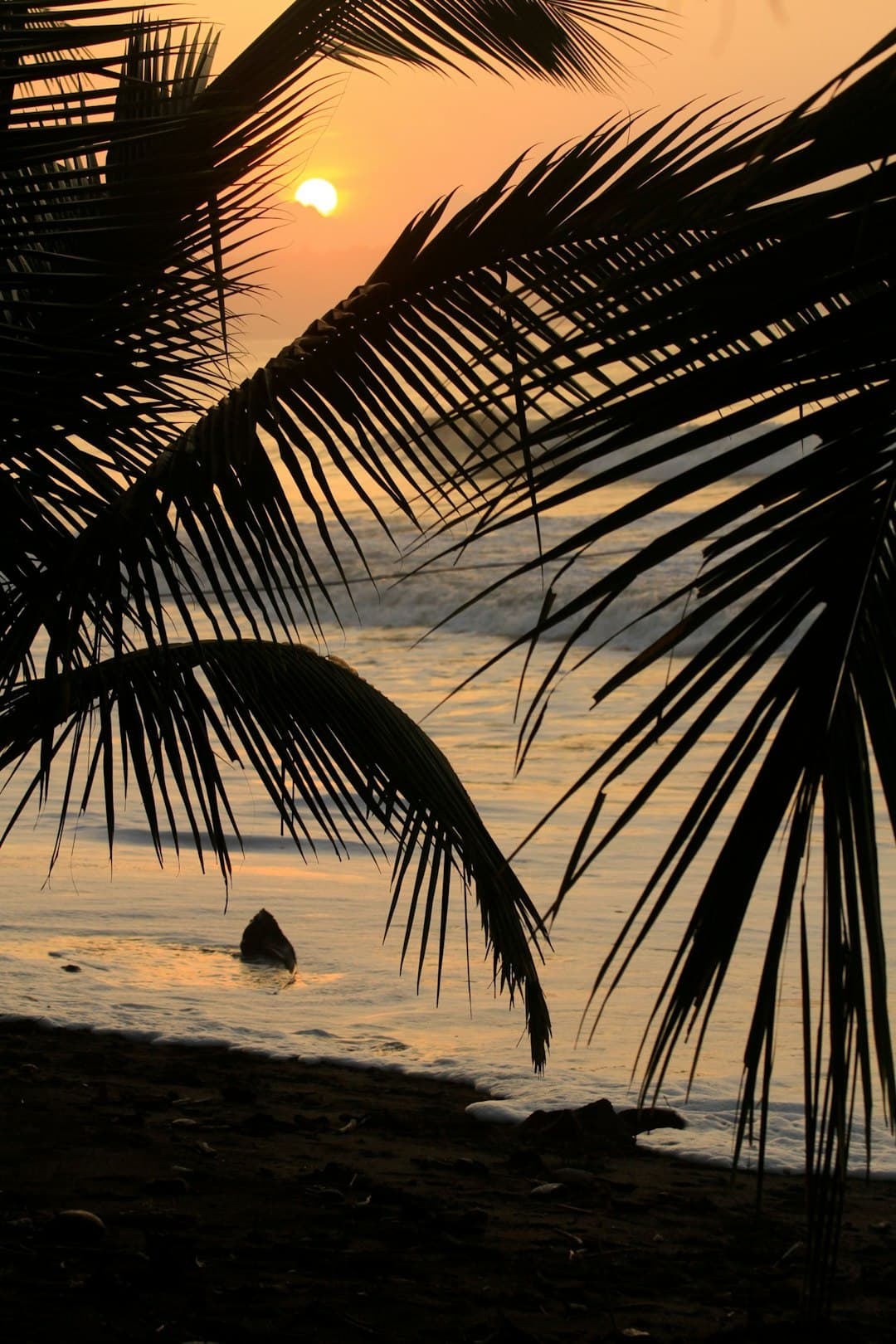 Tropikalny zachód słońca na plaży w Kolumbii