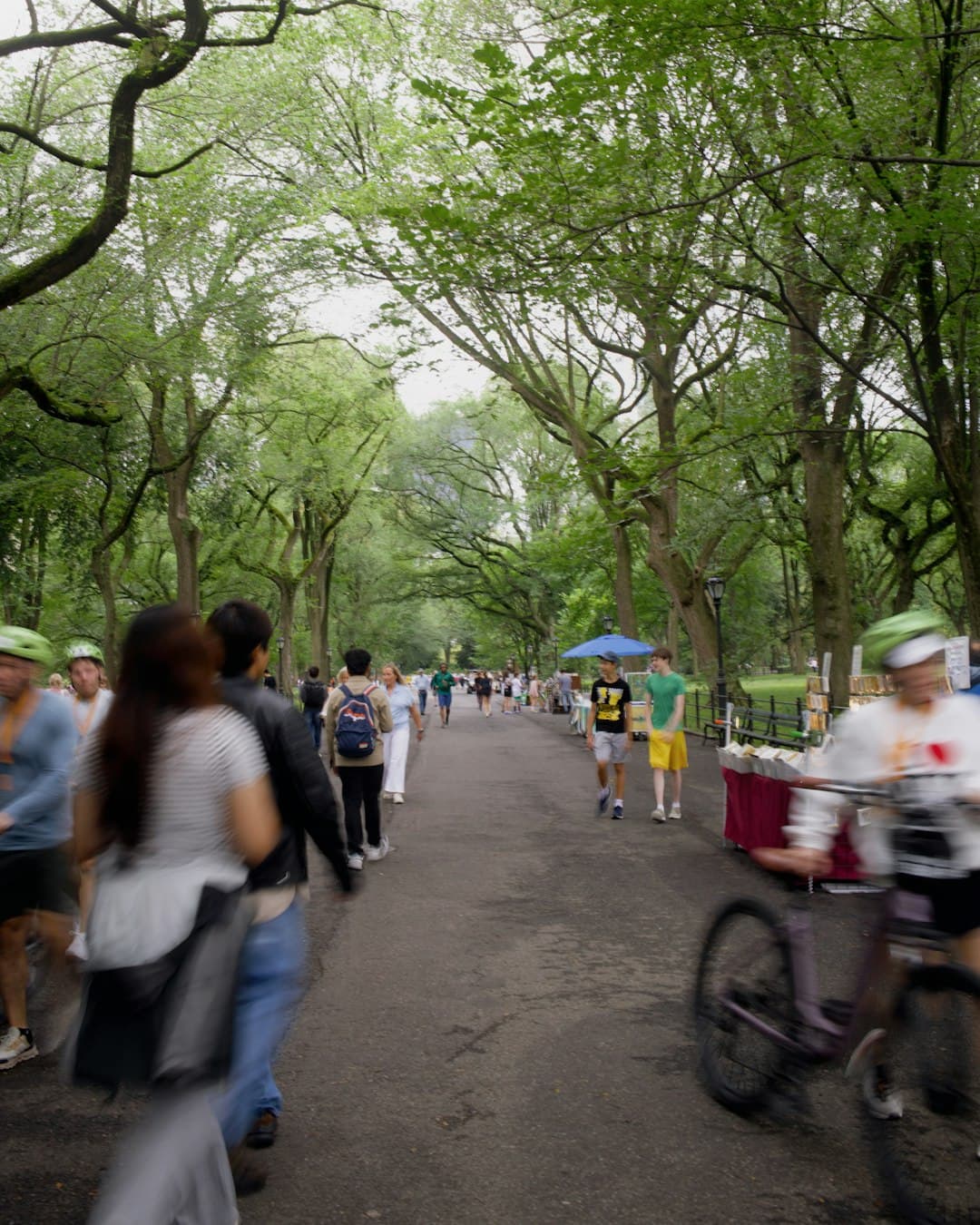 Cyklisci w Central Parku