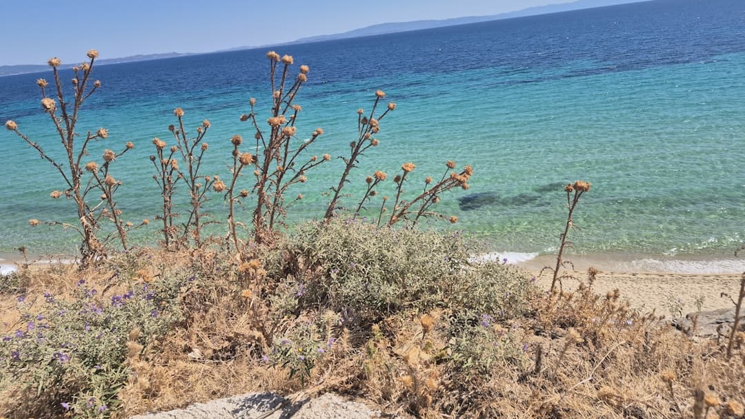 Plaża Agia Roumeli na Krecie