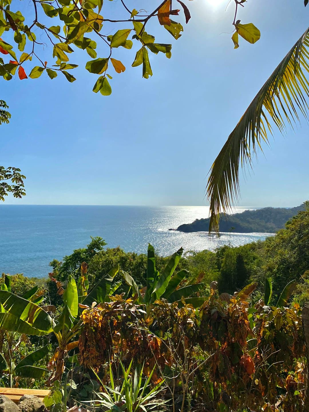 Piękna plaża w kurorcie w Kostaryce