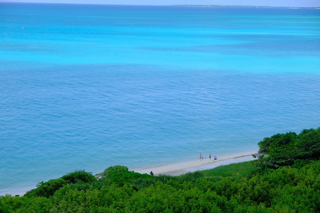 Malownicza plaża Anse Major z turkusową wodą
