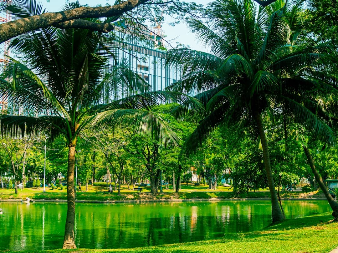 Zielony park w Bangkoku