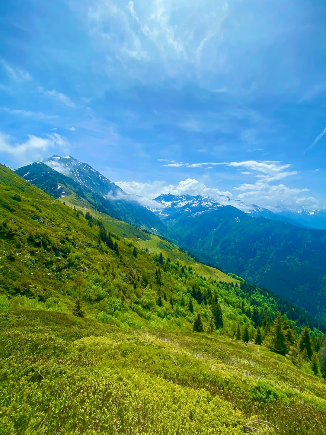 szlak wędrówkowy w Alpach z pięknym krajobrazem