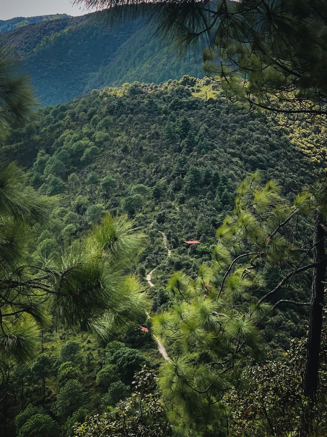 Wędrówki po Rarotonga