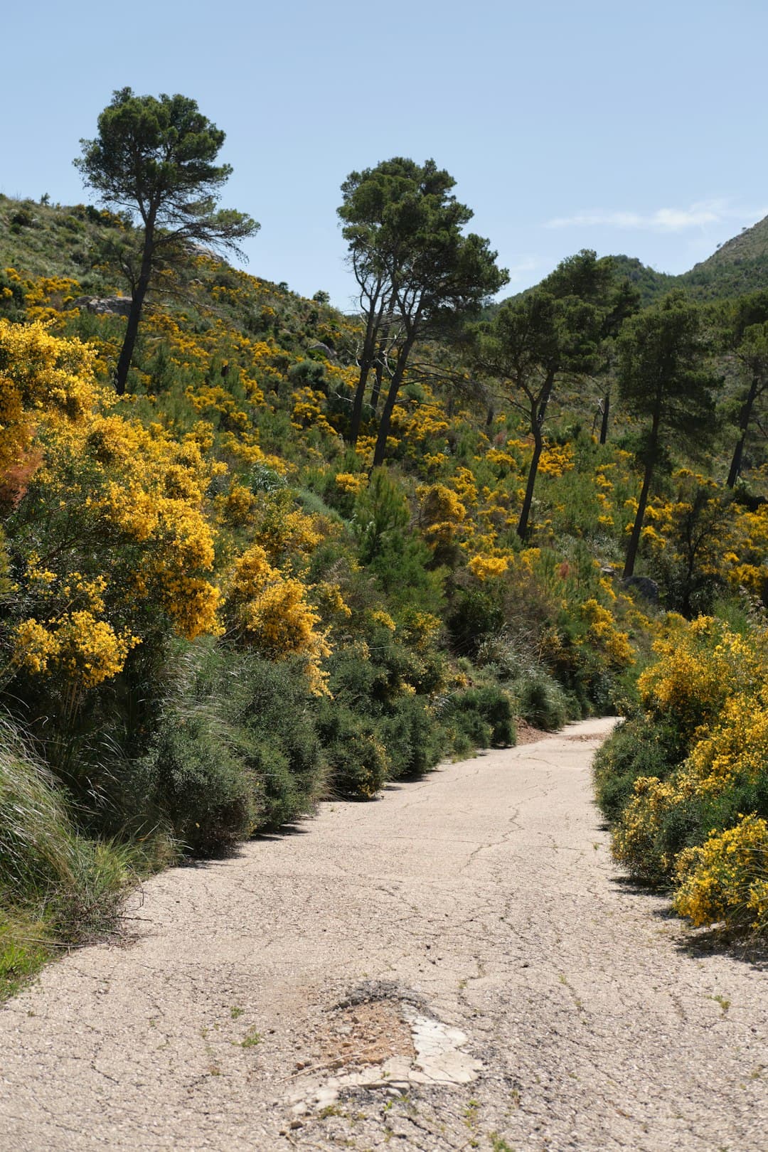 Krajobraz gór Serra de Tramuntana na Majorce