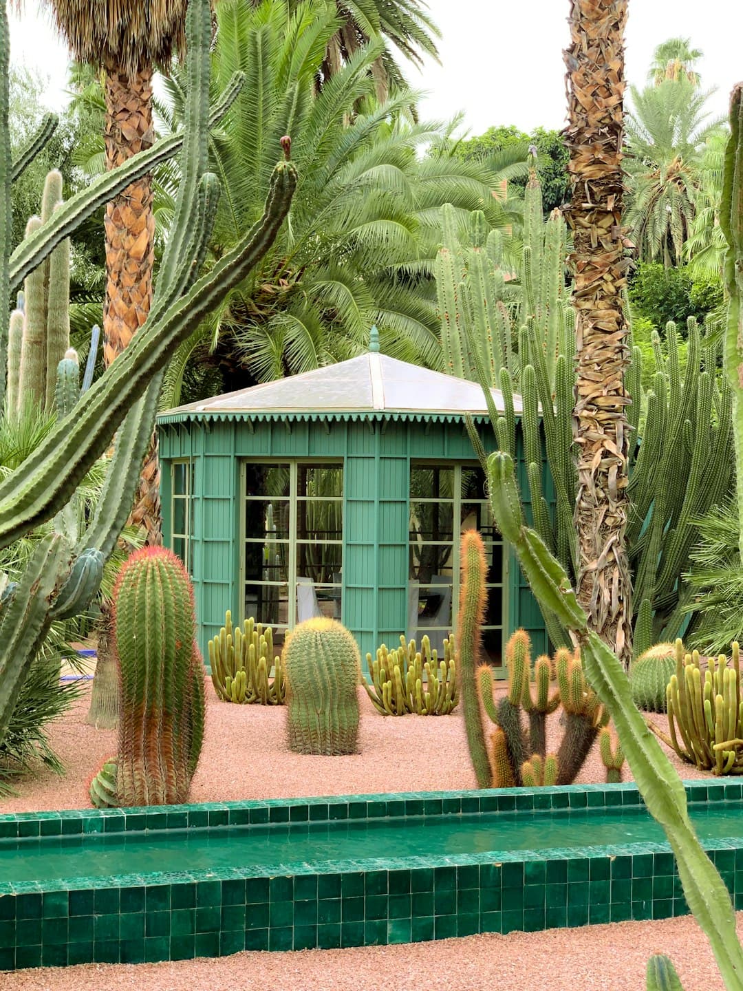 Ogród Majorelle w Marrakeszu