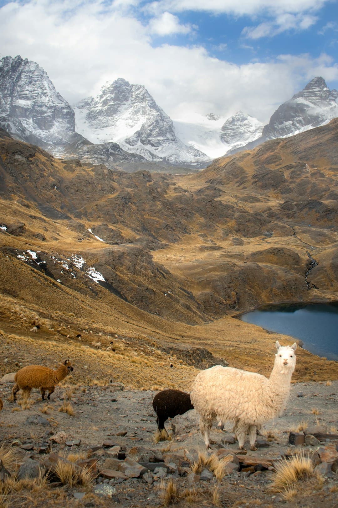 Widok gór w Boliwii