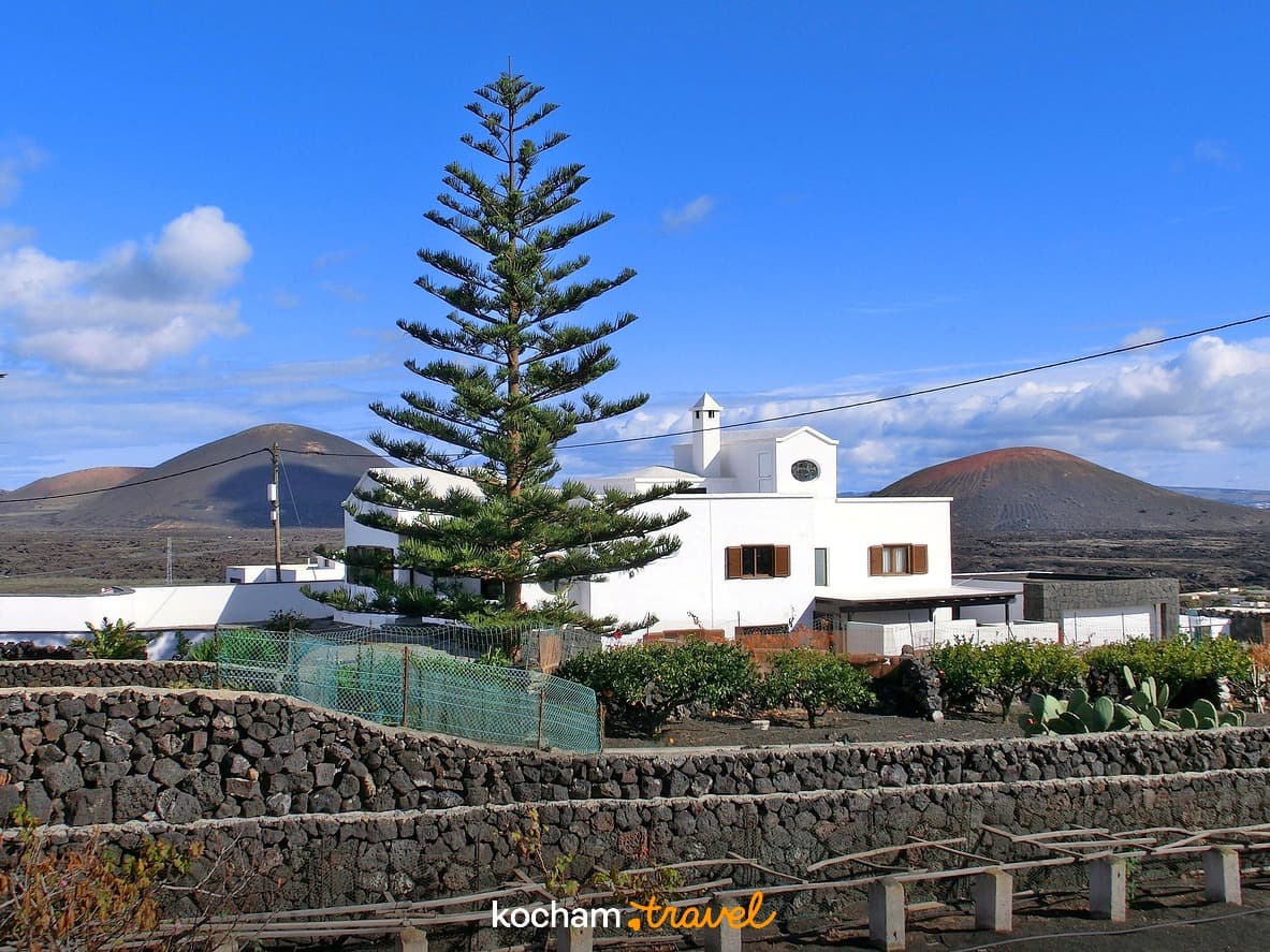Biały budynek, wysoka sosna, wulkaniczny krajobraz, ciemne wzgórza, błękitne niebo.