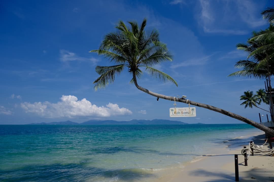 Tropikalne wakacje na Koh Samui